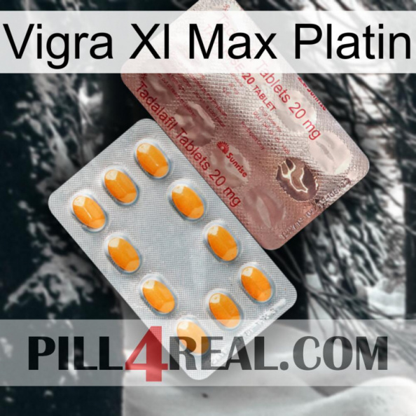 Vigra Xl Max Platinum new13.jpg